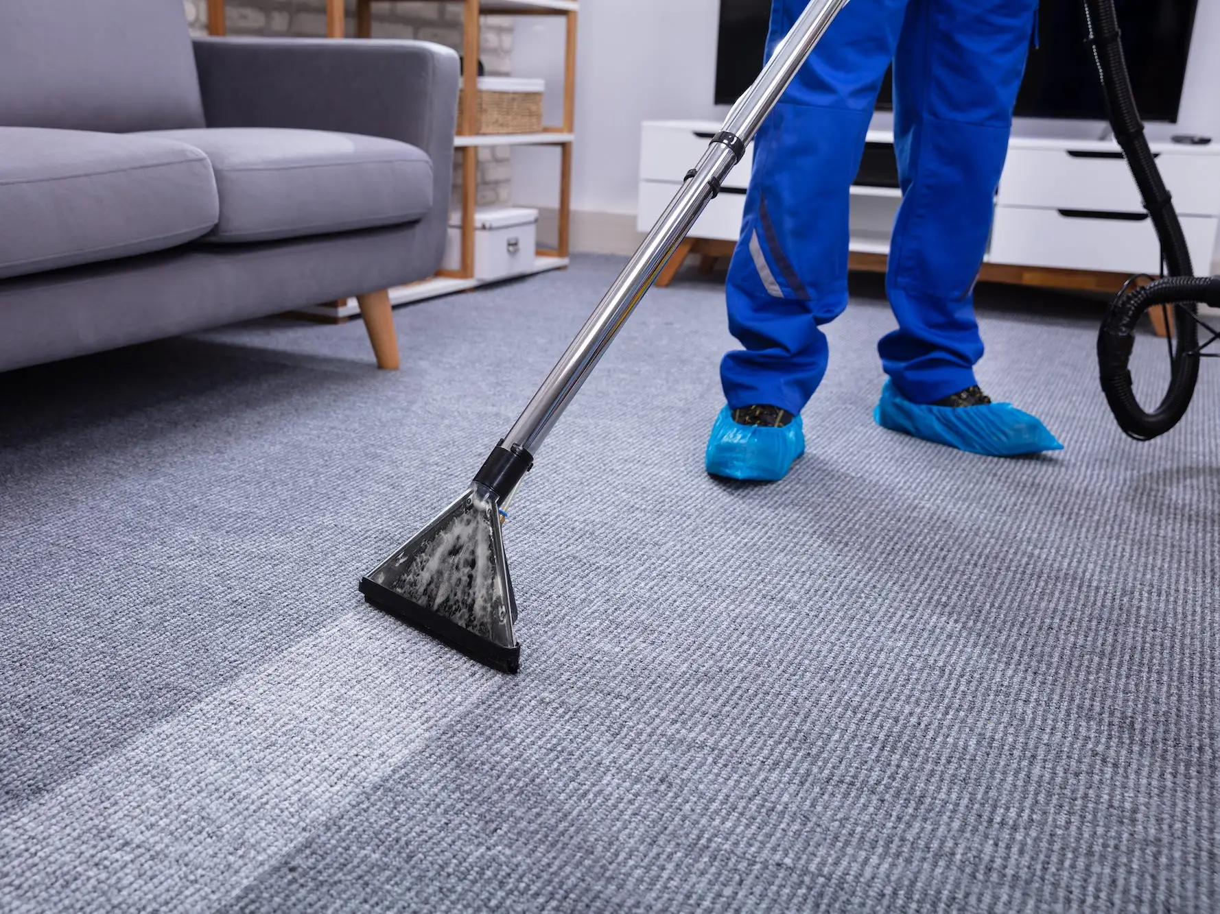 Professional carpet cleaning