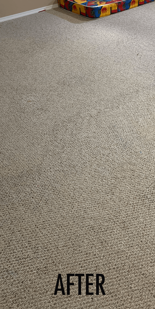 Stain-Removal-Before-After-1