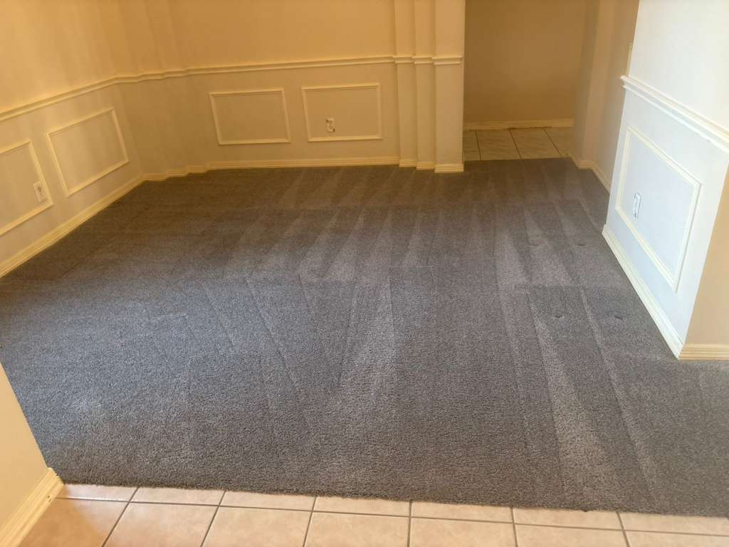 WhatsApp Image 2026-03-11 at 5.03.14 PM (1)