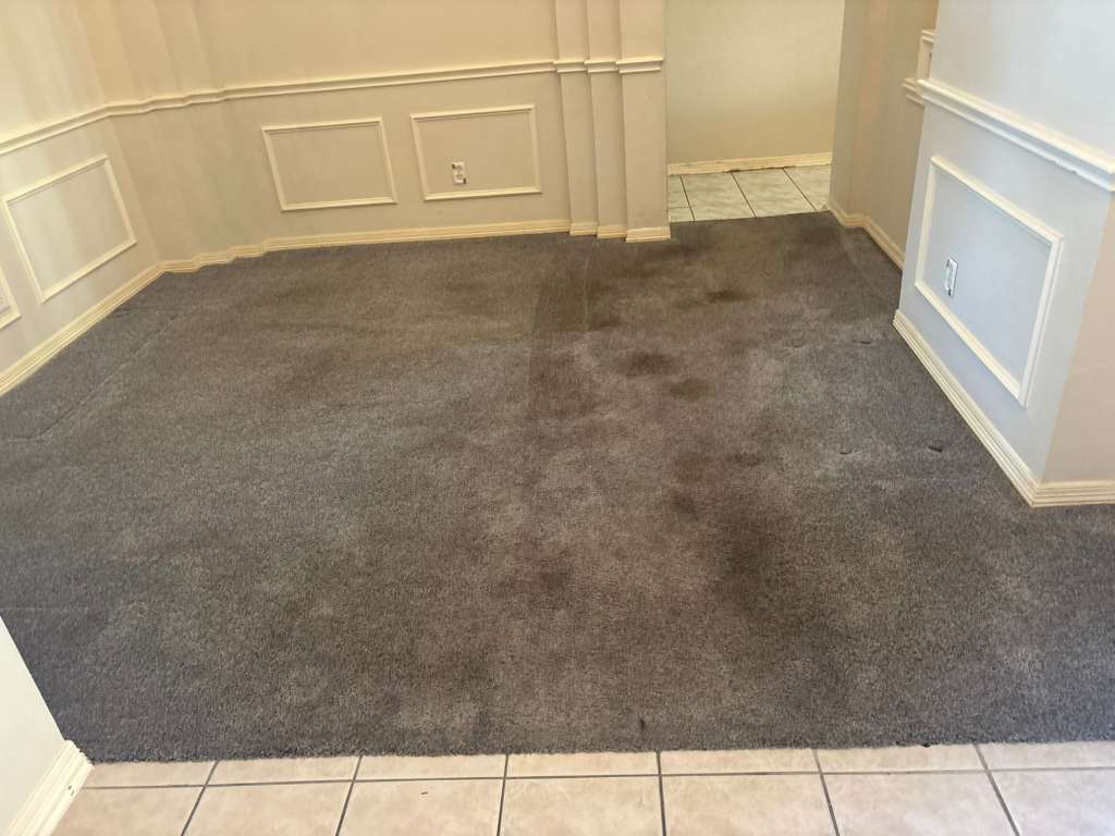 WhatsApp Image 2026-03-11 at 5.03.14 PM