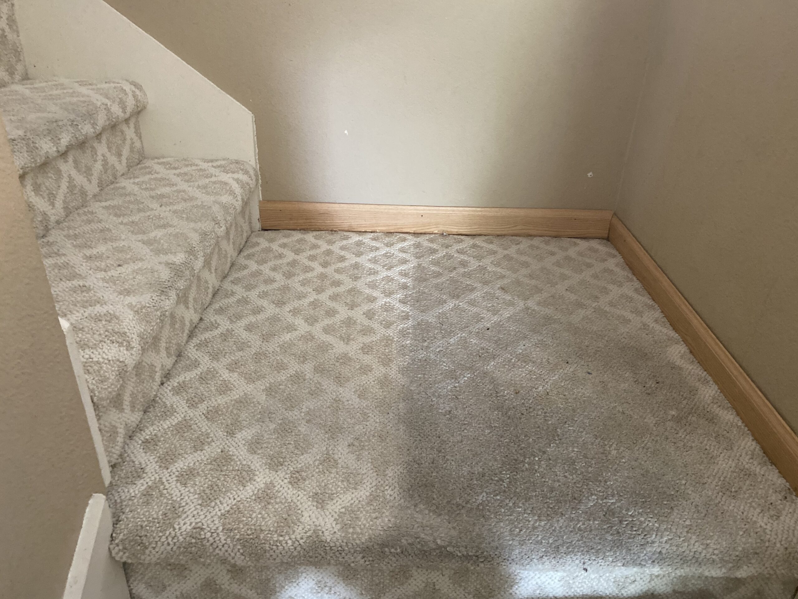 Carpeted stairs and landing with cleaning lines — R1 Carpet & Tile Care